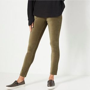 Belle by Kim Gravel Petite Pinwale Knit Corduroy Jeggings